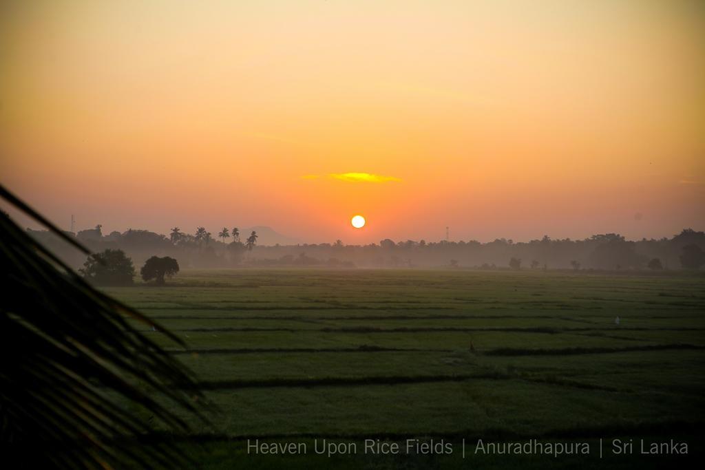 Bed and Breakfast Heaven Upon Rice Fields Anuradhapura Exterior foto