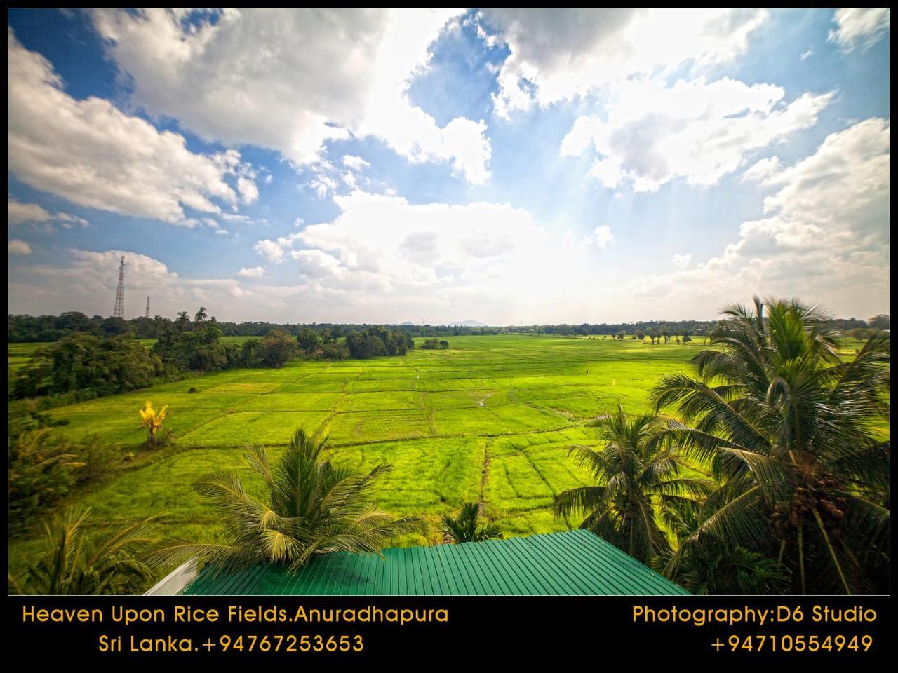 Bed and Breakfast Heaven Upon Rice Fields Anuradhapura Exterior foto